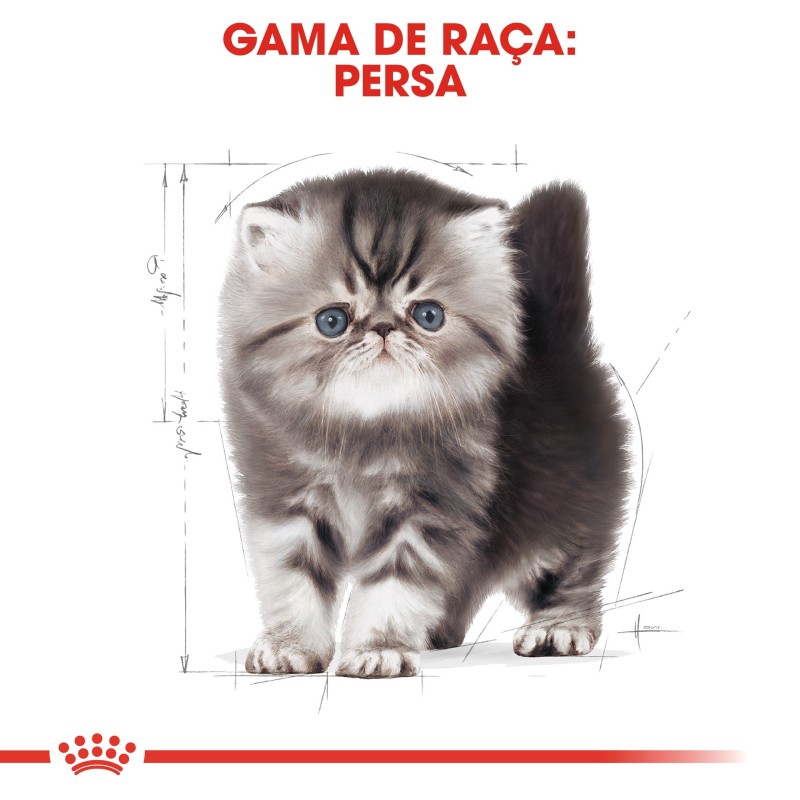 Royal Canin Persian Kitten - Ração seca para gatinhos de raça