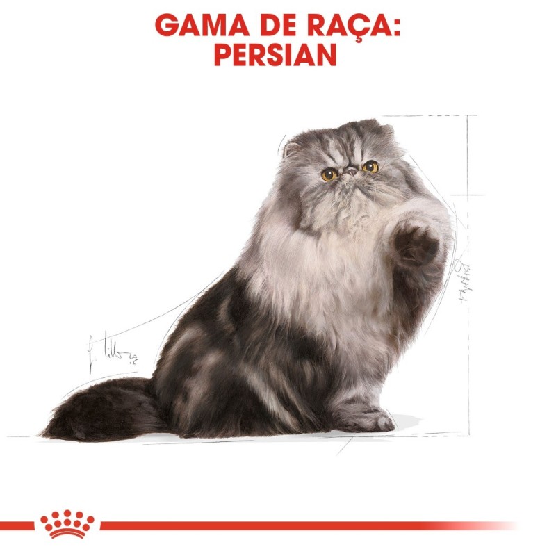 Royal Canin Persian - Ração seca para gato adulto persa