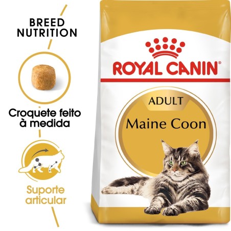 Royal Canin Maine Coon - Ração seca para gato adulto de raça