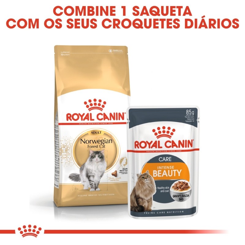 Royal Canin Norwegian Forest - Ração seca para gato de raça