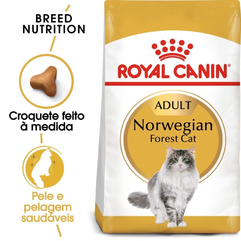 Royal Canin Norwegian Forest - Ração seca para gato de raça