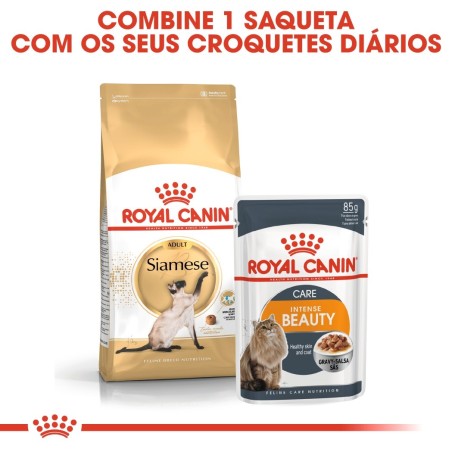 Royal Canin Siamese Adult - Ração seca para gato de raça