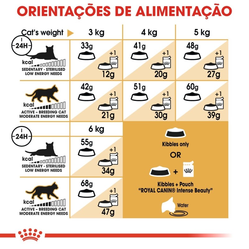 Royal Canin Siamese Adult - Ração seca para gato de raça