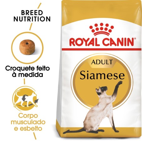 Royal Canin Siamese Adult - Ração seca para gato de raça