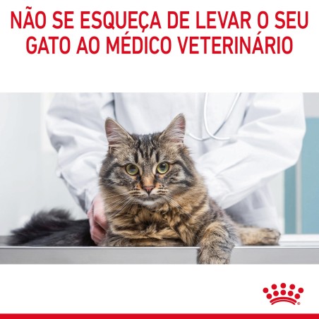 Royal Canin Light Weight Care - Ração seca para gato adulto para controlo de peso