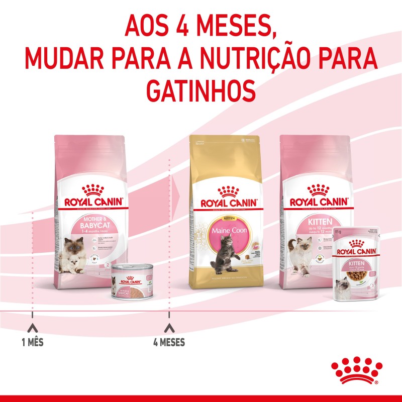 Royal Canin Mother & Babycat - Alimento em mousse para gatinhos e gatas gestantes/lactantes