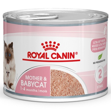 Royal Canin Mother & Babycat - Alimento em mousse para gatinhos e gatas gestantes/lactantes