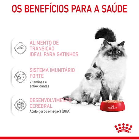 Royal Canin Mother & Babycat - Alimento em mousse para gatinhos e gatas gestantes/lactantes