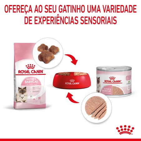 Royal Canin Mother & Babycat - Alimento em mousse para gatinhos e gatas gestantes/lactantes