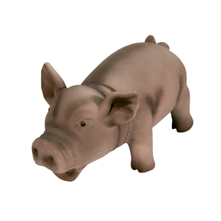 Porco de Latex
