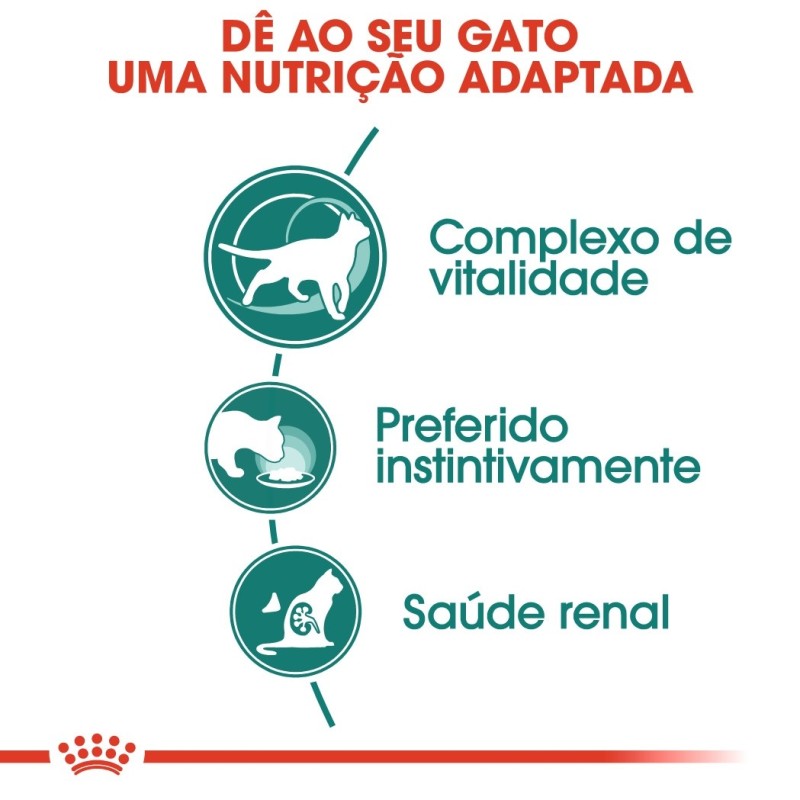 Royal Canin Instinctive 7+ - Alimento em molho para gato com mais de 7 anos