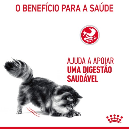 Royal Canin Digestive Care - Alimento em molho para gato adulto com sensibilidade digestiva