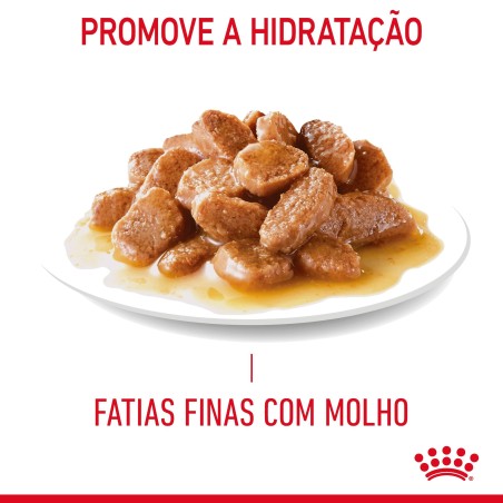 Royal Canin Digestive Care - Alimento em molho para gato adulto com sensibilidade digestiva