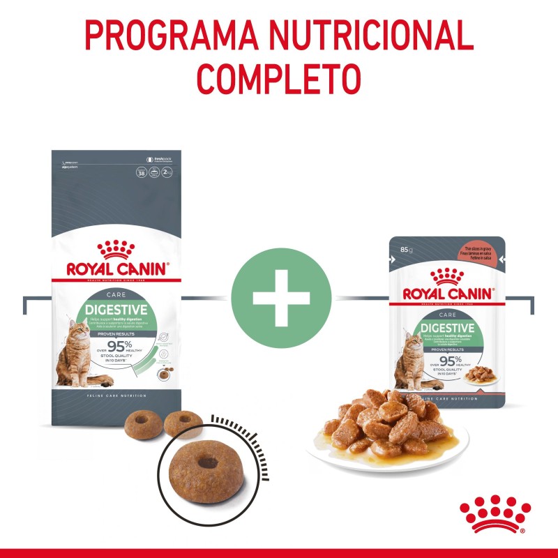 Royal Canin Digestive Care - Alimento em molho para gato adulto com sensibilidade digestiva