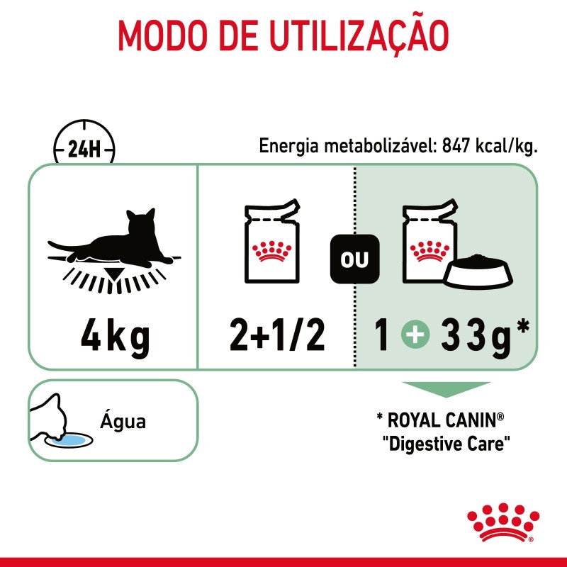 Royal Canin Digestive Care - Alimento em molho para gato adulto com sensibilidade digestiva