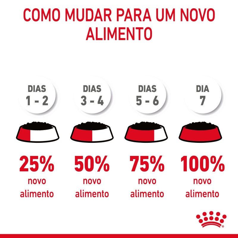 Royal Canin Digestive Care - Alimento em molho para gato adulto com sensibilidade digestiva