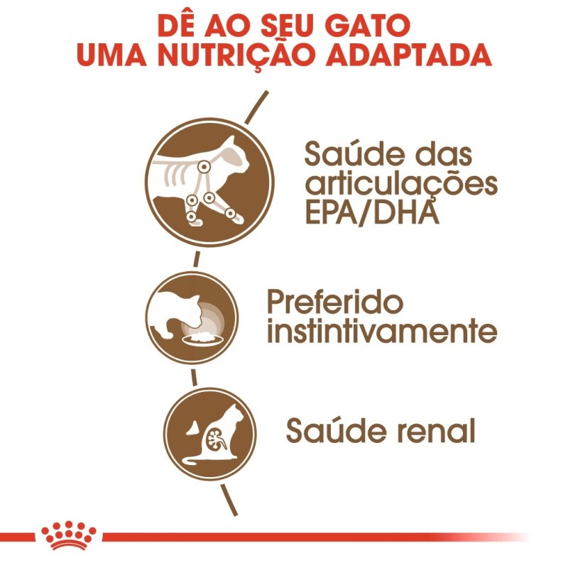 Royal Canin Ageing 12+ - Alimento em molho para gato com mais de 12 anos