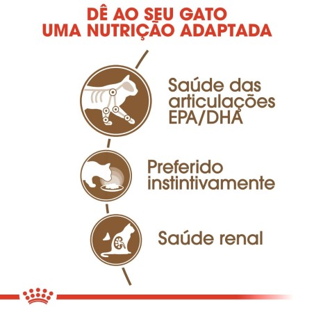 Royal Canin Ageing 12+ - Alimento em molho para gato com mais de 12 anos