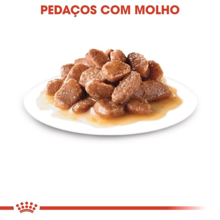 Royal Canin Ageing 12+ - Alimento em molho para gato com mais de 12 anos