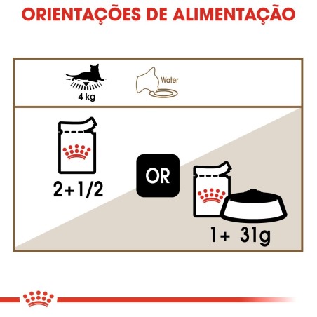 Royal Canin Ageing 12+ - Alimento em molho para gato com mais de 12 anos