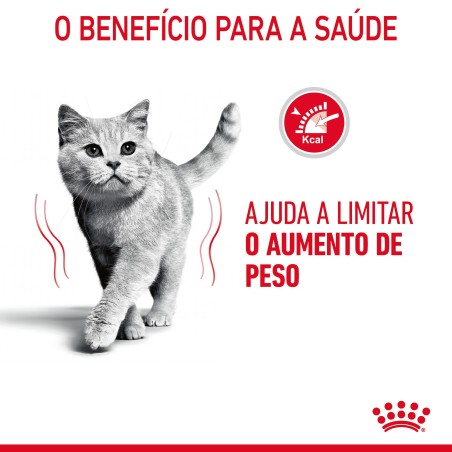 Royal Canin Ultra Light Adult - Alimento em geleia para gato para controlo de peso