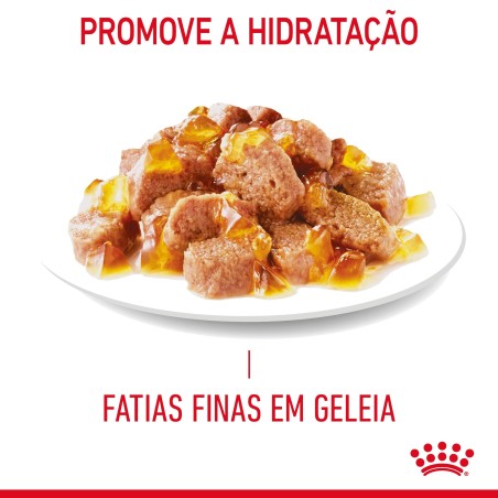 Royal Canin Ultra Light Adult - Alimento em geleia para gato para controlo de peso