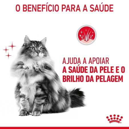 Royal Canin Hair & Skin Care - Alimento em geleia para gato adulto com sensibilidade de pele e pelo