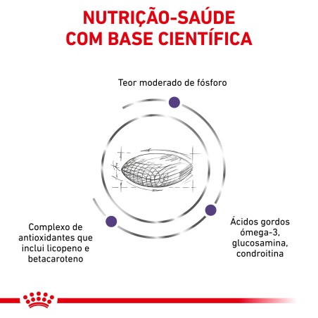 Royal Canin VET Mature Consult - Ração seca para gato sénior