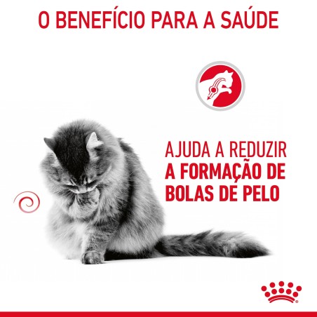 Royal Canin Hairball Care - Alimento em molho para gato adulto para controlo de bolas de pelo