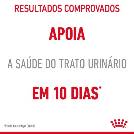 Royal Canin Urinary Care - Alimento em molho para gato adulto com sensibilidade urinária