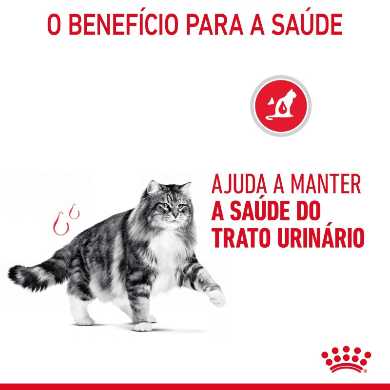 Royal Canin Urinary Care - Alimento em molho para gato adulto com sensibilidade urinária