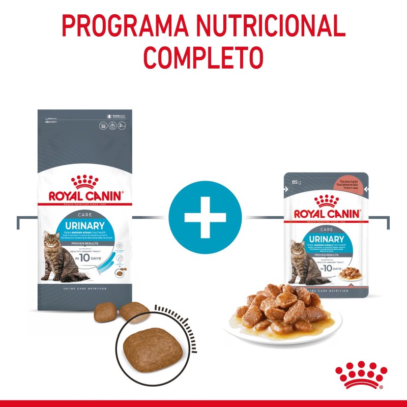 Royal Canin Urinary Care - Alimento em molho para gato adulto com sensibilidade urinária