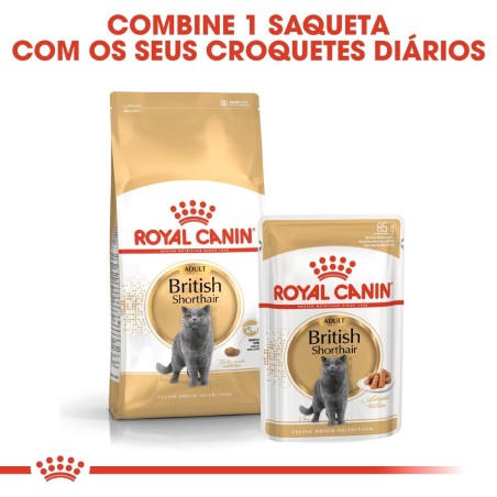 Royal Canin British Shorthair Adult - Alimento em molho para gato de raça