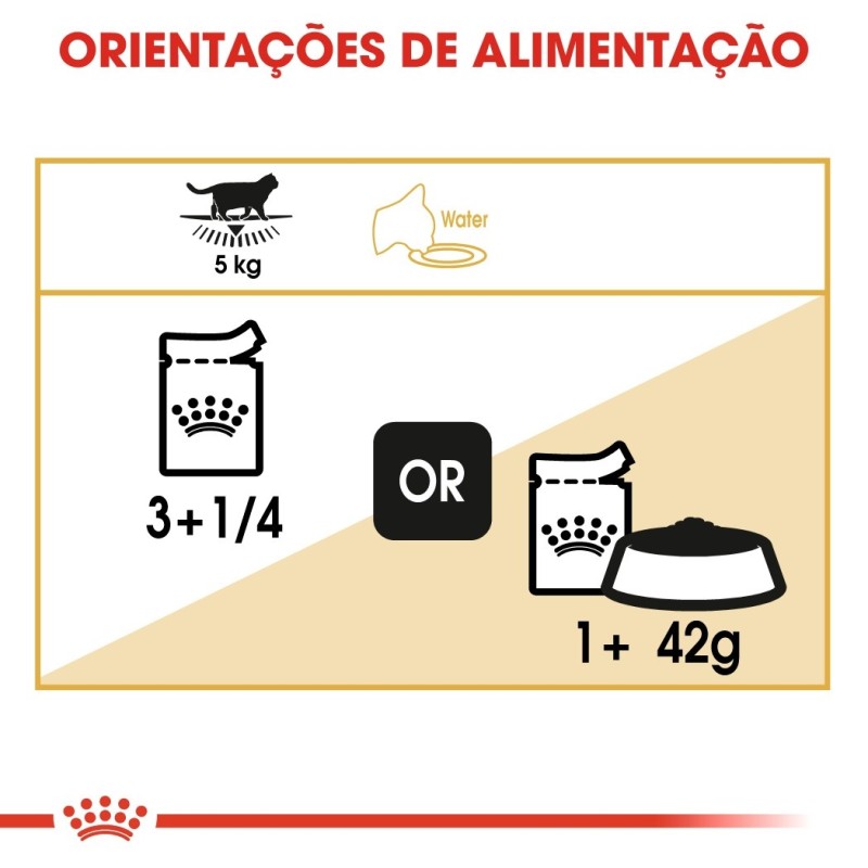 Royal Canin British Shorthair Adult - Alimento em molho para gato de raça