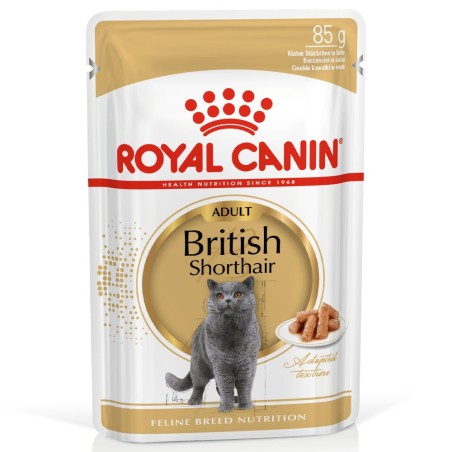 Royal Canin British Shorthair Adult - Alimento em molho para gato de raça