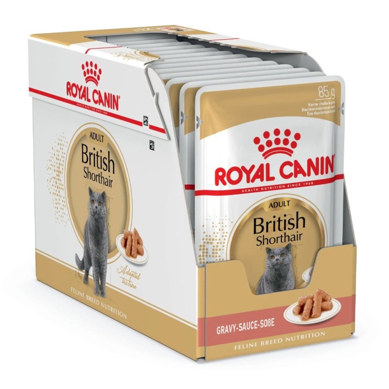 Royal Canin British Shorthair Adult - Alimento em molho para gato de raça