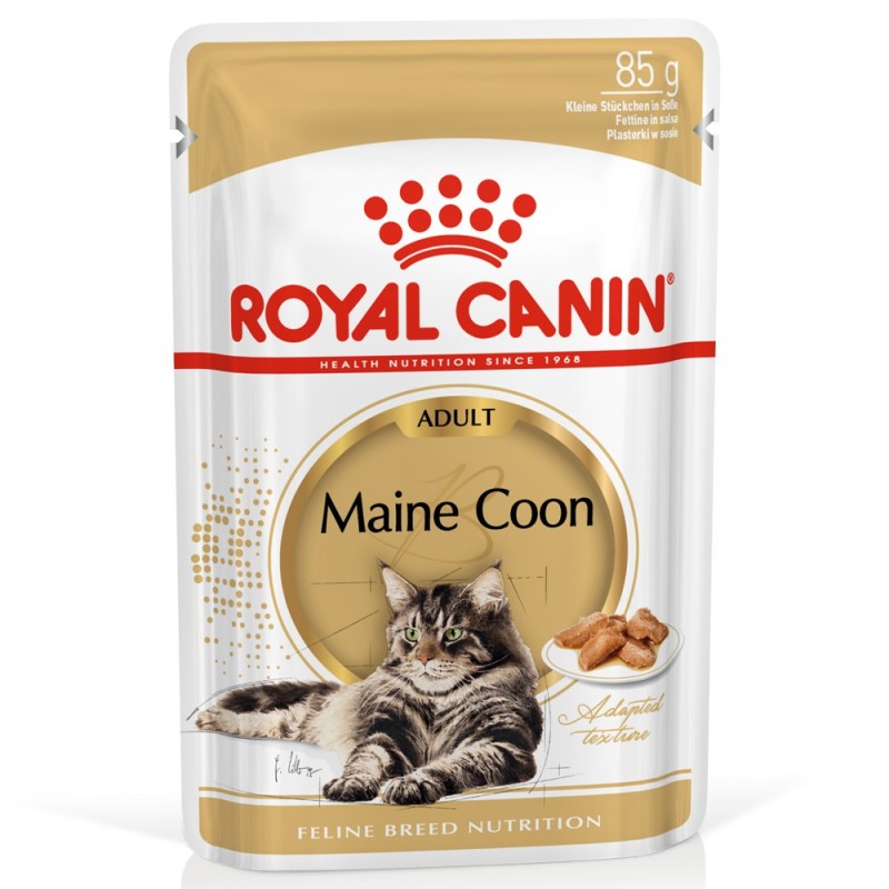 Royal Canin Maine Coon Adult - Alimento em molho para gato de raça