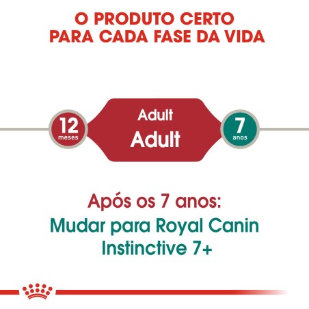 Royal Canin Instinctive Adult - Alimento em molho para gato