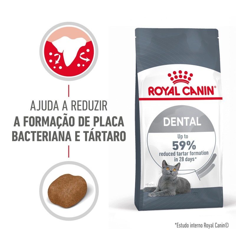 Royal Canin Dental Care - Ração seca para gato adulto com sensibilidade dental