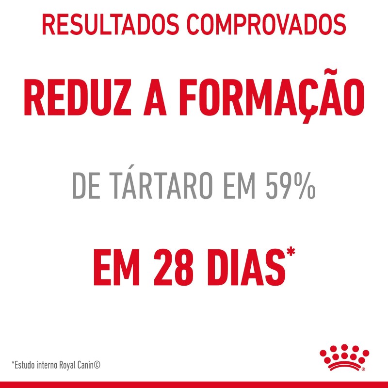 Royal Canin Dental Care - Ração seca para gato adulto com sensibilidade dental