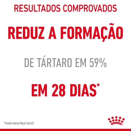 Royal Canin Dental Care - Ração seca para gato adulto com sensibilidade dental