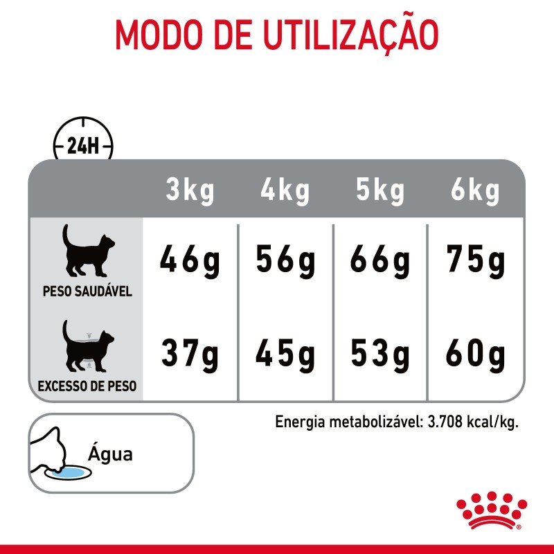 Royal Canin Dental Care - Ração seca para gato adulto com sensibilidade dental