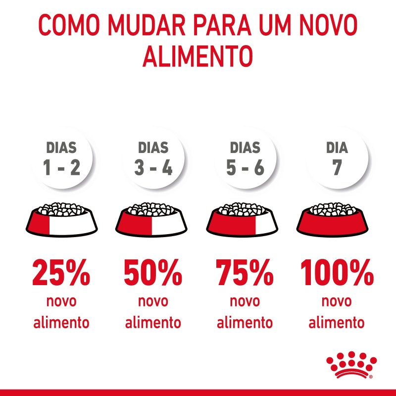 Royal Canin Dental Care - Ração seca para gato adulto com sensibilidade dental