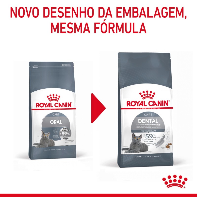 Royal Canin Dental Care - Ração seca para gato adulto com sensibilidade dental