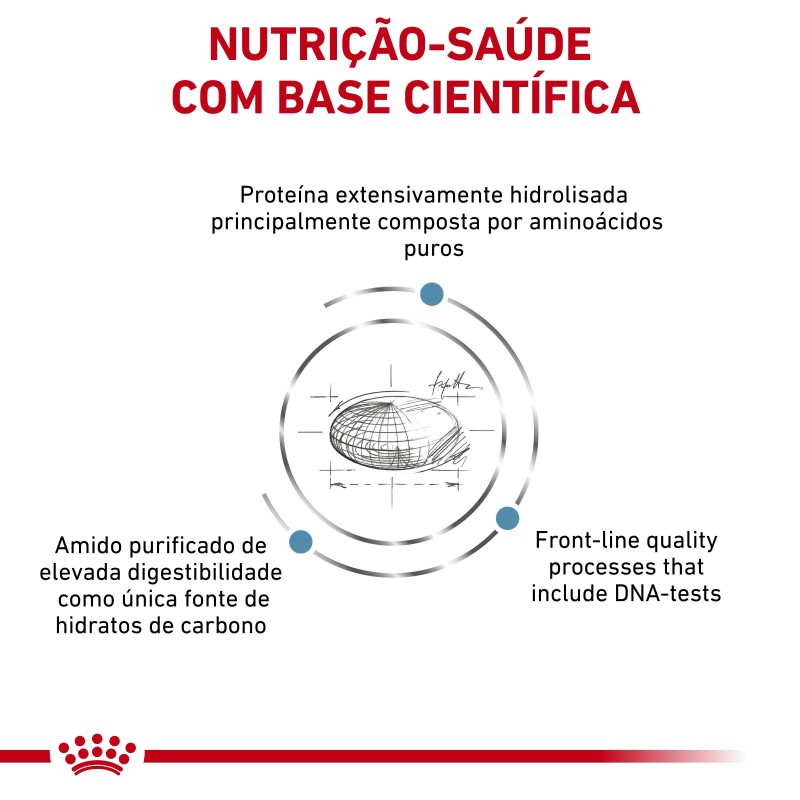 Royal Canin VET Anallergenic - Ração seca para gato adulto com sensibilidade alimentar