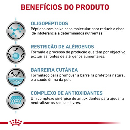 Royal Canin VET Anallergenic - Ração seca para gato adulto com sensibilidade alimentar