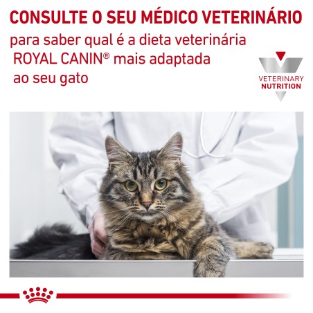 Royal Canin VET Anallergenic - Ração seca para gato adulto com sensibilidade alimentar