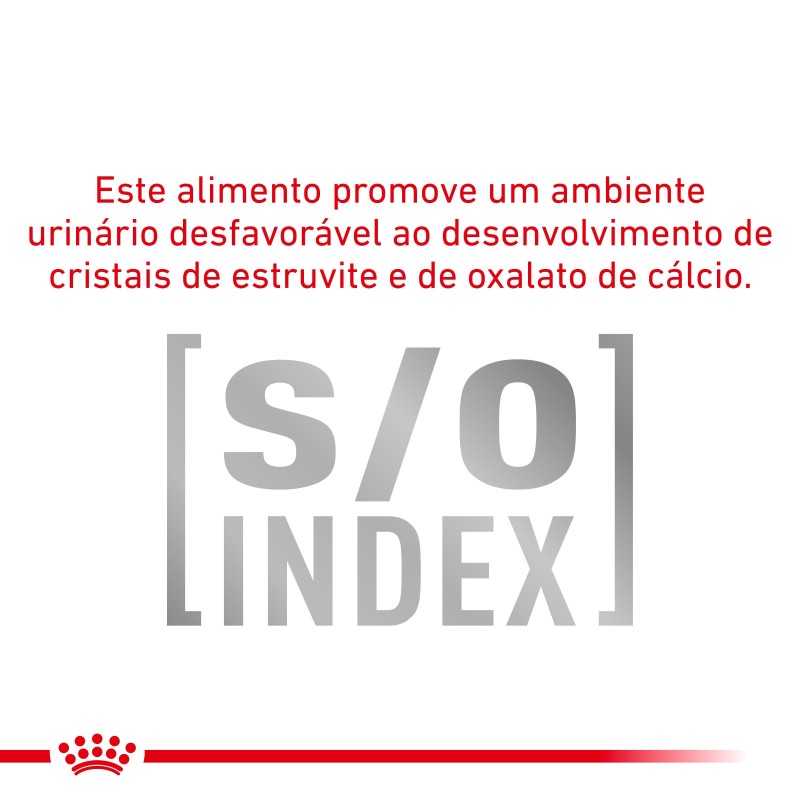 Royal Canin VET Diabetic - Ração seca para gato adulto com diabetes