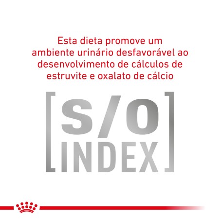 Royal Canin VET Gastrointestinal Fibre Response - Ração seca para gato adulto com problemas digestivos