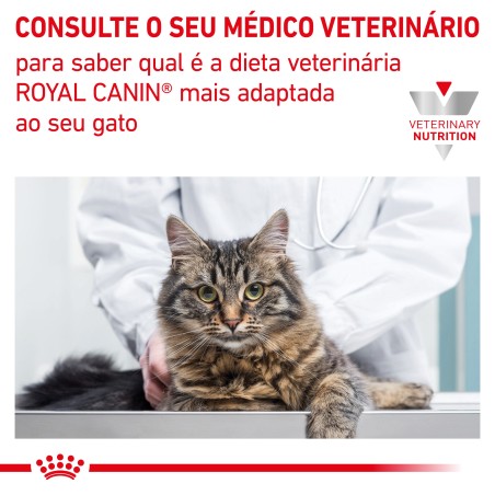 Royal Canin VET Hepatic - Ração seca para gato adulto com insuficiência hepática